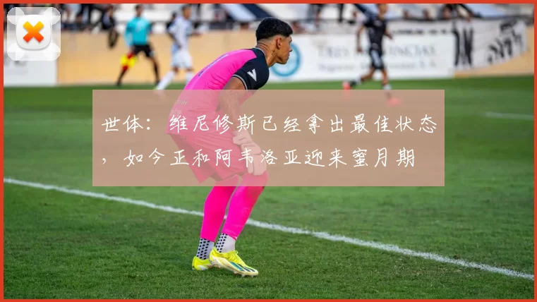 世体：维尼修斯已经拿出最佳状态，如今正和阿韦洛亚迎来蜜月期