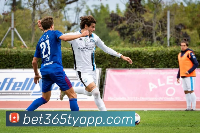 bet365体育APPAPP 封面图